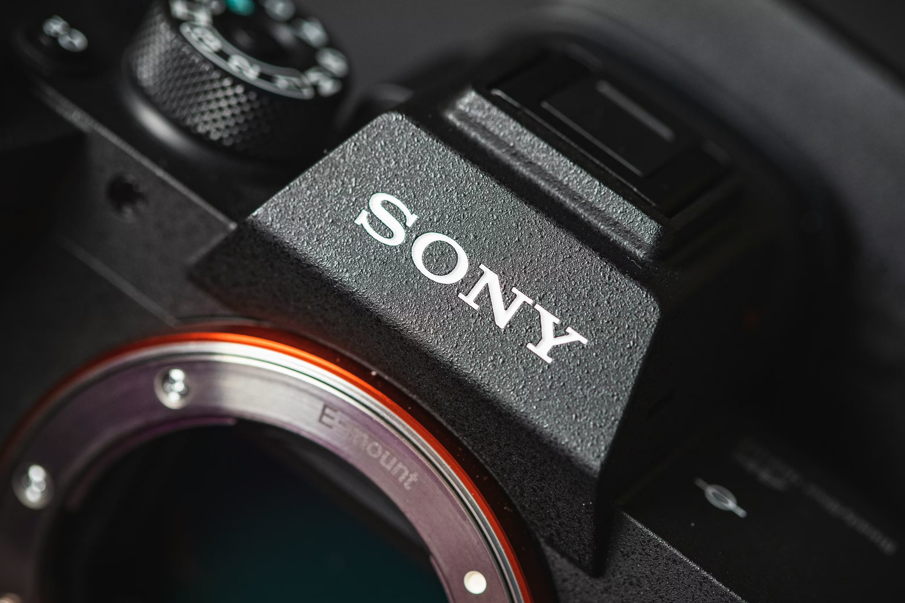 A detailed review of the Sony RX100 VIII—we explore why an eighth model doesn't exist and analyze the real capabilities of the RX100 VII in 2026.