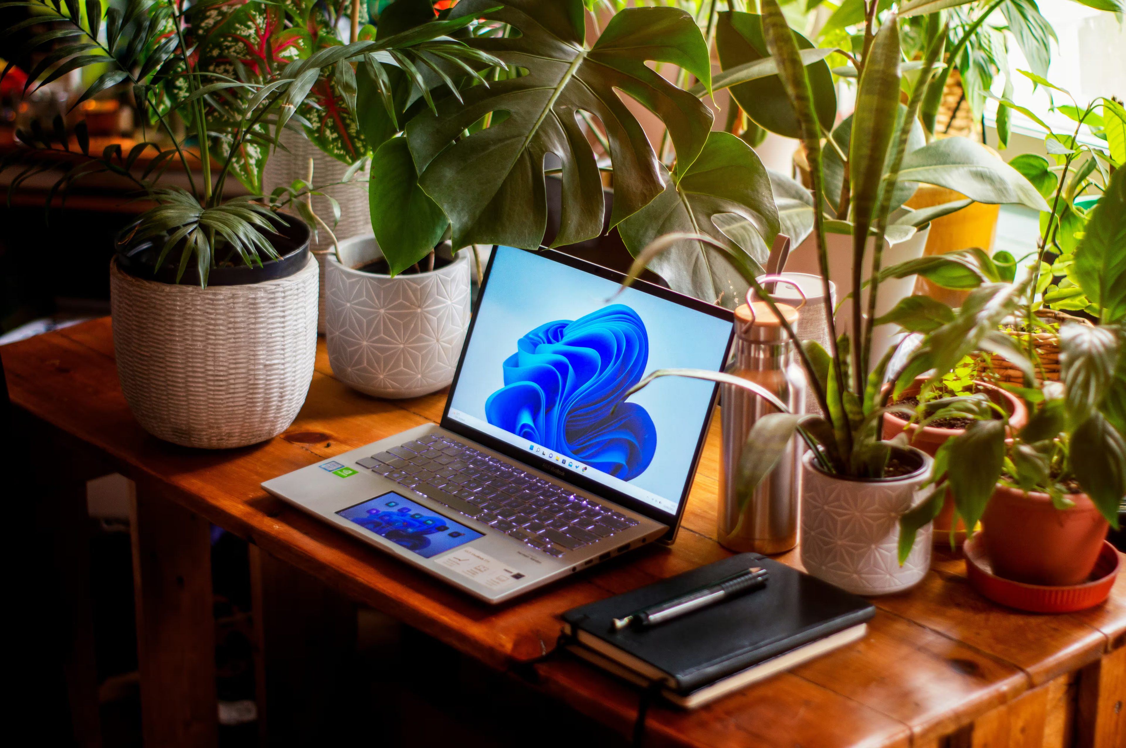 Повний огляд ASUS Vivobook S14 (S3407): процесори Intel та Snapdragon, OLED та IPS-екрани, автономність до 29 годин, реальні тести продуктивності.